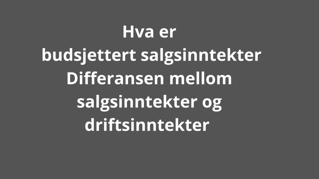 Budsjettert Salgsinntekter 1024x576